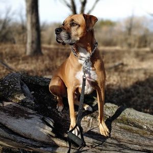 Meet your Posher, Tessa